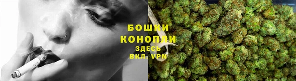 дмт Козловка