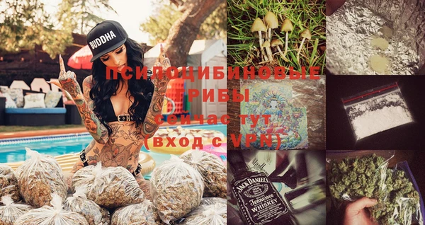 дмт Козловка