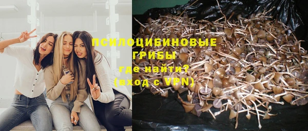 MDMA Кодинск
