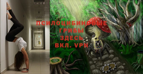 дмт Козловка