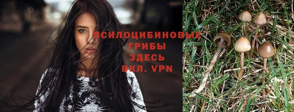 трава Козельск