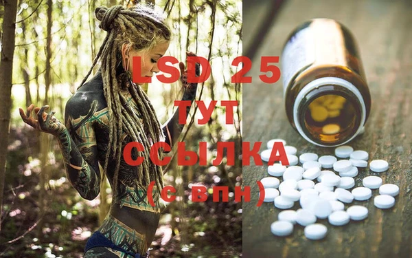дмт Козловка