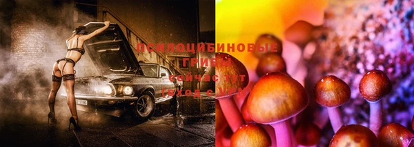 MDMA Кодинск